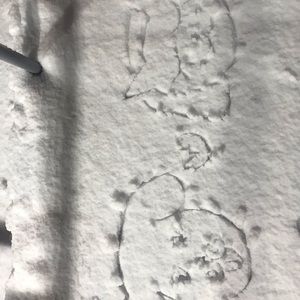 Meet your Posher, Eunae